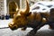 Charging Bull, or the Wall Street Bull or the Bowling Green Bull stands in Bowling Green in the