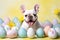 A charismatic French Bulldog peeks out from a row of pastel-painted Easter eggs, bringing a touch of whimsy and cheer.