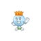 The Charismatic King of collagen droplets cartoon character design wearing gold crown
