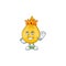 The Charismatic King of gold hair serum cartoon character design wearing gold crown