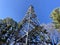 The Charles C. Deem wilderness lookout tower