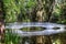 Charleston Magnolia Plantation White Lattice Bridge