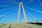 Charleston Ravenel bridge