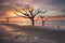 Charleston SC Botany Bay Sunrise Tree on Beach