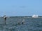 Charleston South Carolina seascape with pelicans on pilings and a sailboat in the distance