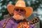 Charlie Daniels looking at the crowd