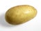 CHARLOTTE POTATO solanum tuberosum AGAINST WHITE BACKGROUND