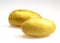 CHARLOTTE POTATO solanum tuberosum AGAINST WHITE BACKGROUND