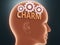 Charm inside human mind - pictured as word Charm inside a head with cogwheels to symbolize that Charm is what people may think