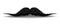 Charm mustaches for barbershop or Mustache Carnival. Mustache vintage facial, funny curly black mustache illustration