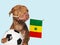 Charming, adorable puppy, holding national flag. Close-up