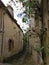 Charming alley with rose bushes. France.