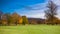 Charming autumn landscape in Scotland - colourful trees, grass, forest, blue sky