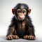 Charming Baby Monkey: 3d Pixar Style Rendering On White Background