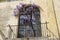 Charming balcony with Jacaranda tree.