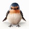 Charming Barn Swallow Illustration With Realistic Rendering