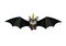 The Charming bat in celebratory cap ready for Halloween