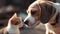 Charming beagle and affectionate kitten play together outdoors in nature generated by AI