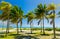 Charming beautiful palm tropical garden with ocean view at Cuban Cayo Coco island