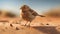 Charming Bird Art: A Delightful Creation Inspired By John Wilhelm And Craig Mccracken