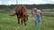 Charming blonde feed the horse on a green meadow