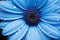 Charming Blue daisy blossom. Generate Ai