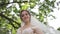 Charming bride in gorgeous wedding dress hold bouquet and stand in front of blooming trees