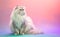 Charming British Longhair Cat against a bright pastel background. Generative AI.