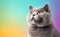 Charming British Shorthair Cat against a bright pastel background. Generative AI.