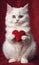 A charming cat holds a vibrant red heart in its small paws, showcasing an endearing image perfect for expressing love