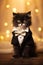 Charming Charcoal Kitten: The Dapper Feline in a Tuxedo Bow Tie