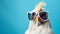 Charming Chicken In Blue Sunglasses: A Captivating Studio Photography