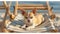 Charming Chihuahua relaxing on a beach chair, gazing at the camera by the ocean\\\'s edge, Ai Generated