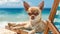 Charming Chihuahua relaxing on a beach chair, gazing at the camera by the ocean\\\'s edge, Ai Generated