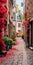 Charming City Street With Red Flowers In Cottagecore Style