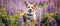 Charming corgi dog in flowers in the spring mountains Generative AI