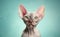 Charming Cornish Rex Cat against a bright pastel background. Generative AI.