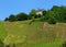 A Charming Cottage High Above A Vineyard In Bernkastel-Kues Germany On A Beautiful Sunny Summer Day