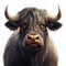 Charming Digital Painting Of A Wild Bull - Hyper Realistic Cartoon Portrait