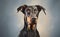 Charming Doberman dog against a bright pastel background. Generative AI.