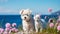 charming dog and cats sit on field beach at sea , puppy sit play on sunset in sea water on beach wild fieldandspanie