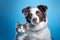 Charming Duo: British Shorthair Cat Kitten and Border Collie Dog (AI Generated)