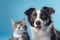 Charming Duo: British Shorthair Cat Kitten and Border Collie Dog (AI Generated)