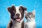 Charming Duo: British Shorthair Cat Kitten and Border Collie Dog (AI Generated)