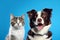 Charming Duo: British Shorthair Cat Kitten and Border Collie Dog (AI Generated)