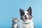 Charming Duo: British Shorthair Cat Kitten and Border Collie Dog (AI Generated)