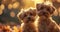 A charming and enchanting portrayal of cutie dogs against a stunning background, with impeccable lighting that enhances their