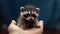 Charming Encounter: Baby Raccoon Nestled on a Hand