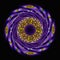 A charming extremely beautiful abstract swirl of purple, blue, yellow hue