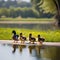 A charming family of ducks waddling in a row along a serene pond, captured in a portrait2